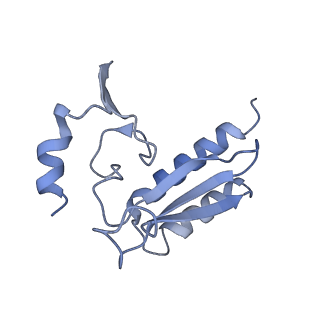 4729_6r5q_r_v1-1
Structure of XBP1u-paused ribosome nascent chain complex (post-state)