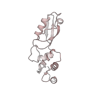 4729_6r5q_t_v1-1
Structure of XBP1u-paused ribosome nascent chain complex (post-state)