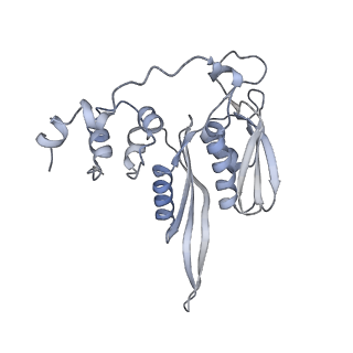 4729_6r5q_v_v1-1
Structure of XBP1u-paused ribosome nascent chain complex (post-state)