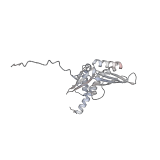 4729_6r5q_w_v1-1
Structure of XBP1u-paused ribosome nascent chain complex (post-state)