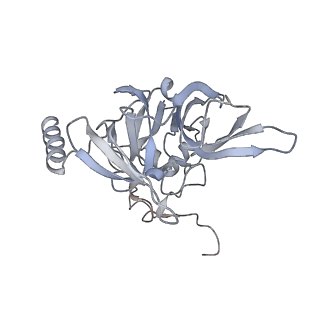 4729_6r5q_x_v1-1
Structure of XBP1u-paused ribosome nascent chain complex (post-state)