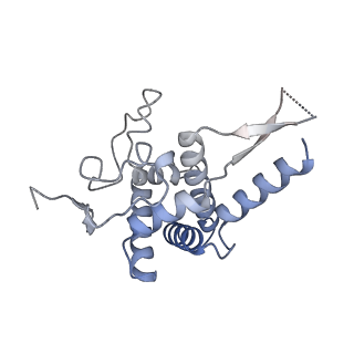 4729_6r5q_y_v1-1
Structure of XBP1u-paused ribosome nascent chain complex (post-state)