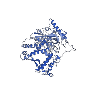 18945_8r60_A_v1-0
1918 H1N1 Viral polymerase heterotrimer in complex with 4 repeat serine-5 phosphorylated PolII peptide