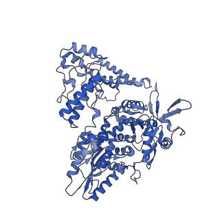 18945_8r60_B_v1-0
1918 H1N1 Viral polymerase heterotrimer in complex with 4 repeat serine-5 phosphorylated PolII peptide