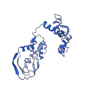 18945_8r60_C_v1-0
1918 H1N1 Viral polymerase heterotrimer in complex with 4 repeat serine-5 phosphorylated PolII peptide