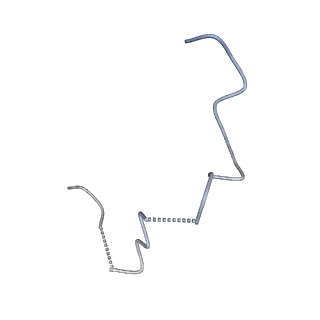 18945_8r60_X_v1-0
1918 H1N1 Viral polymerase heterotrimer in complex with 4 repeat serine-5 phosphorylated PolII peptide