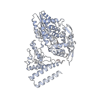 18947_8r65_B_v1-0
1918 H1N1 Viral polymerase heterotrimer in complex with 4 repeat serine-5 phosphorylated PolII peptide with ordered PB2 C-terminal domains