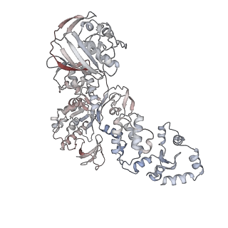 18947_8r65_C_v1-0
1918 H1N1 Viral polymerase heterotrimer in complex with 4 repeat serine-5 phosphorylated PolII peptide with ordered PB2 C-terminal domains