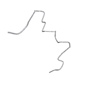 18947_8r65_X_v1-0
1918 H1N1 Viral polymerase heterotrimer in complex with 4 repeat serine-5 phosphorylated PolII peptide with ordered PB2 C-terminal domains