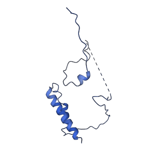 24280_7r6k_7_v1-3
State E2 nucleolar 60S ribosomal intermediate - Model for Noc2/Noc3 region