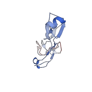 24280_7r6k_A_v1-3
State E2 nucleolar 60S ribosomal intermediate - Model for Noc2/Noc3 region