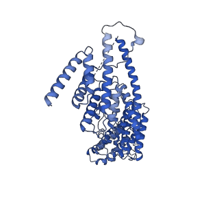 24280_7r6k_I_v1-3
State E2 nucleolar 60S ribosomal intermediate - Model for Noc2/Noc3 region