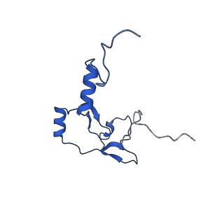 24280_7r6k_m_v1-3
State E2 nucleolar 60S ribosomal intermediate - Model for Noc2/Noc3 region