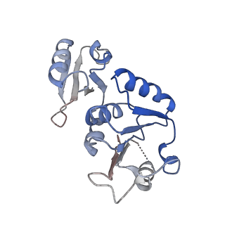 24280_7r6k_q_v1-3
State E2 nucleolar 60S ribosomal intermediate - Model for Noc2/Noc3 region
