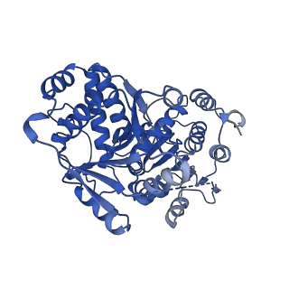 24286_7r6q_D_v1-3
State E2 nucleolar 60S ribosome biogenesis intermediate - Foot region model