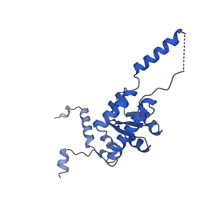 24286_7r6q_G_v1-3
State E2 nucleolar 60S ribosome biogenesis intermediate - Foot region model