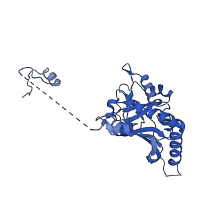 24286_7r6q_K_v1-3
State E2 nucleolar 60S ribosome biogenesis intermediate - Foot region model