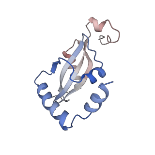 24286_7r6q_N_v1-3
State E2 nucleolar 60S ribosome biogenesis intermediate - Foot region model