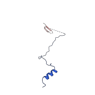 24286_7r6q_X_v1-3
State E2 nucleolar 60S ribosome biogenesis intermediate - Foot region model