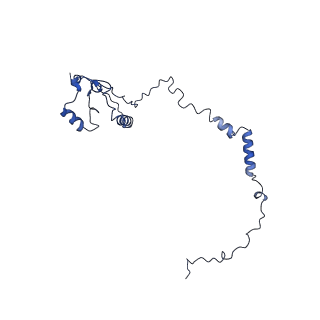 24286_7r6q_m_v1-3
State E2 nucleolar 60S ribosome biogenesis intermediate - Foot region model