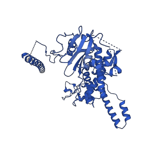 24286_7r6q_n_v1-3
State E2 nucleolar 60S ribosome biogenesis intermediate - Foot region model