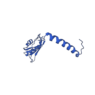 24286_7r6q_o_v1-3
State E2 nucleolar 60S ribosome biogenesis intermediate - Foot region model
