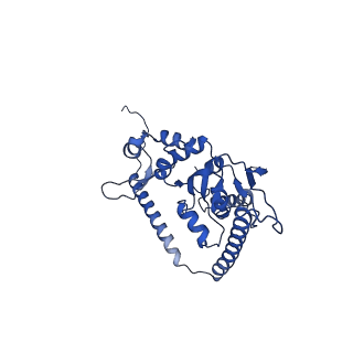 24286_7r6q_t_v1-3
State E2 nucleolar 60S ribosome biogenesis intermediate - Foot region model