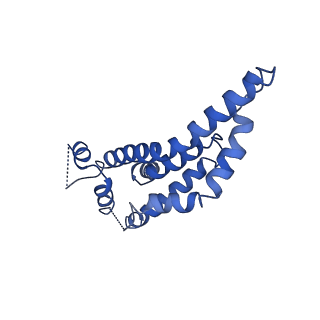4734_6r6b_C_v1-2
Structure of the core Shigella flexneri type III secretion system export gate complex SctRST (Spa24/Spa9/Spa29).