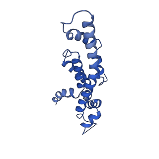 4734_6r6b_E_v1-2
Structure of the core Shigella flexneri type III secretion system export gate complex SctRST (Spa24/Spa9/Spa29).
