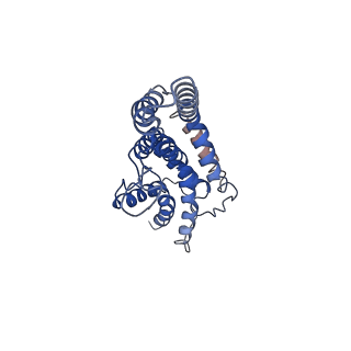 4734_6r6b_F_v1-2
Structure of the core Shigella flexneri type III secretion system export gate complex SctRST (Spa24/Spa9/Spa29).
