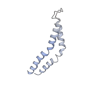 4734_6r6b_J_v1-2
Structure of the core Shigella flexneri type III secretion system export gate complex SctRST (Spa24/Spa9/Spa29).