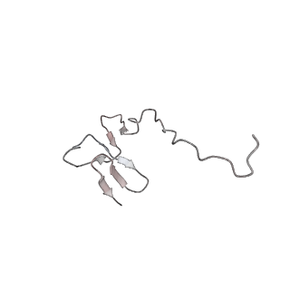 4735_6r6g_0_v1-1
Structure of XBP1u-paused ribosome nascent chain complex with SRP.