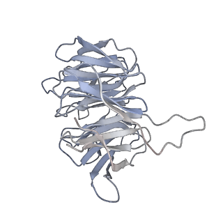 4735_6r6g_6_v1-1
Structure of XBP1u-paused ribosome nascent chain complex with SRP.