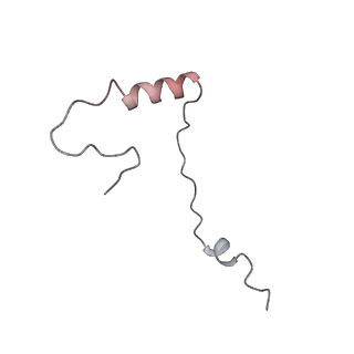 4735_6r6g_AA_v1-1
Structure of XBP1u-paused ribosome nascent chain complex with SRP.