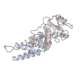4735_6r6g_AB_v1-1
Structure of XBP1u-paused ribosome nascent chain complex with SRP.