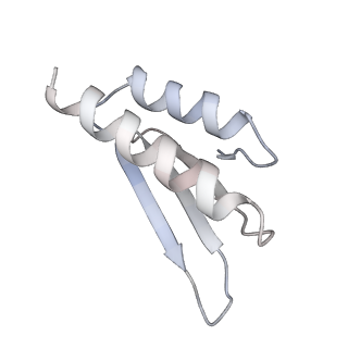 4735_6r6g_AD_v1-1
Structure of XBP1u-paused ribosome nascent chain complex with SRP.