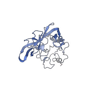 4735_6r6g_A_v1-1
Structure of XBP1u-paused ribosome nascent chain complex with SRP.