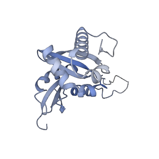 4735_6r6g_BB_v1-1
Structure of XBP1u-paused ribosome nascent chain complex with SRP.