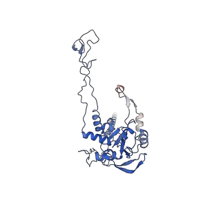 4735_6r6g_C_v1-1
Structure of XBP1u-paused ribosome nascent chain complex with SRP.