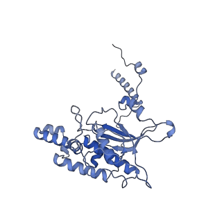 4735_6r6g_D_v1-1
Structure of XBP1u-paused ribosome nascent chain complex with SRP.