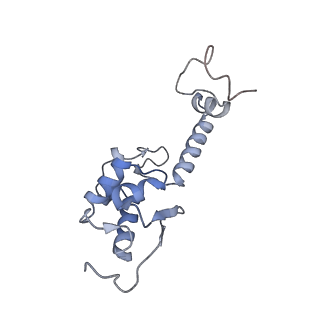 4735_6r6g_II_v1-1
Structure of XBP1u-paused ribosome nascent chain complex with SRP.