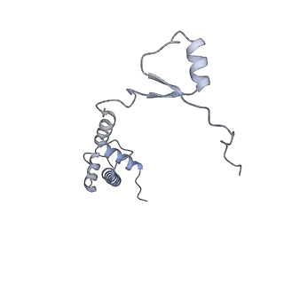 4735_6r6g_KK_v1-1
Structure of XBP1u-paused ribosome nascent chain complex with SRP.