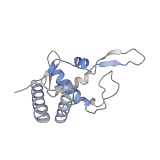 4735_6r6g_PP_v1-1
Structure of XBP1u-paused ribosome nascent chain complex with SRP.