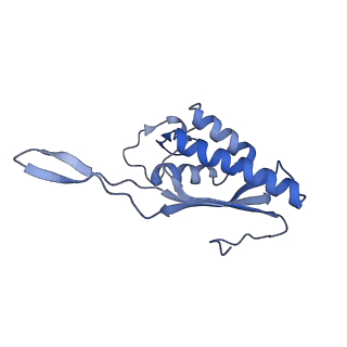 4735_6r6g_P_v1-1
Structure of XBP1u-paused ribosome nascent chain complex with SRP.