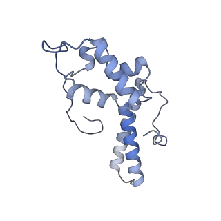 4735_6r6g_QQ_v1-1
Structure of XBP1u-paused ribosome nascent chain complex with SRP.