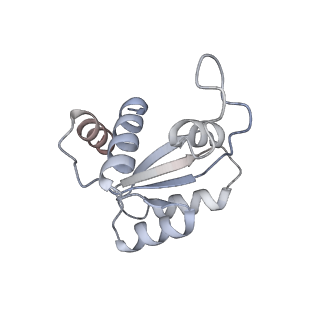 4735_6r6g_RR_v1-1
Structure of XBP1u-paused ribosome nascent chain complex with SRP.