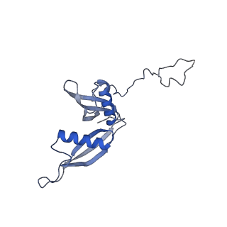 4735_6r6g_S_v1-1
Structure of XBP1u-paused ribosome nascent chain complex with SRP.