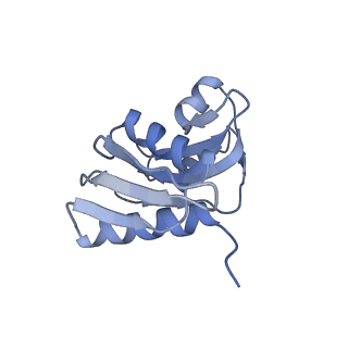 4735_6r6g_TT_v1-1
Structure of XBP1u-paused ribosome nascent chain complex with SRP.