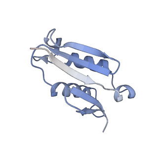 4735_6r6g_U_v1-1
Structure of XBP1u-paused ribosome nascent chain complex with SRP.