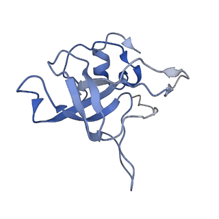 4735_6r6g_V_v1-1
Structure of XBP1u-paused ribosome nascent chain complex with SRP.